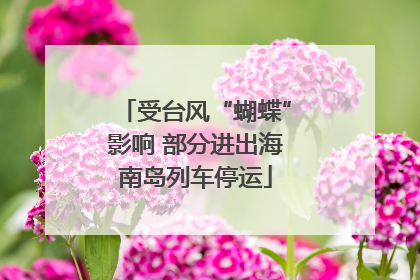 受台风“蝴蝶”影响 部分进出海南岛列车停运