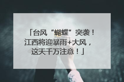 台风“蝴蝶”突袭！江西将迎暴雨+大风，这天千万注意！