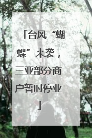 台风“蝴蝶”来袭，三亚部分商户暂时停业