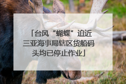 台风“蝴蝶”迫近 三亚海事局辖区货船码头均已停止作业