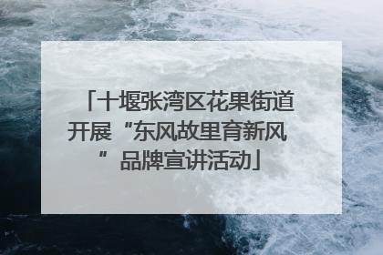 十堰张湾区花果街道开展“东风故里育新风”品牌宣讲活动