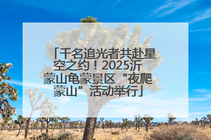 千名追光者共赴星空之约！2025沂蒙山龟蒙景区“夜爬蒙山”活动举行