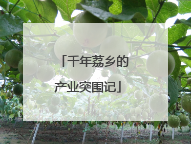 千年荔乡的产业突围记