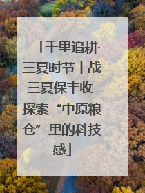 千里追耕·三夏时节丨战三夏保丰收 探索“中原粮仓”里的科技感