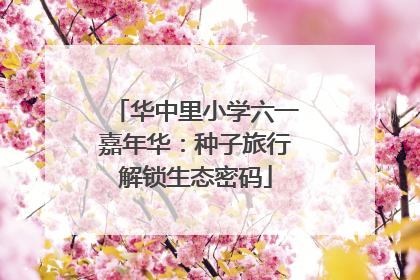 华中里小学六一嘉年华：种子旅行解锁生态密码
