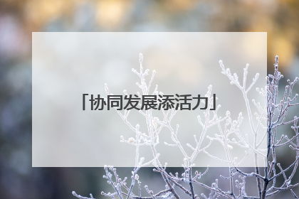协同发展添活力