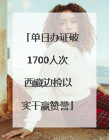 单日办证破1700人次 西藏边检以实干赢赞誉