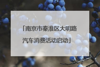 南京市秦淮区大明路汽车消费活动启动