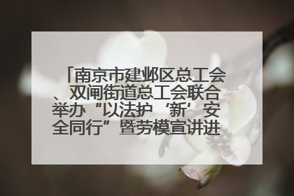 南京市建邺区总工会、双闸街道总工会联合举办“以法护‘新’安全同行”暨劳模宣讲进工地服务活动