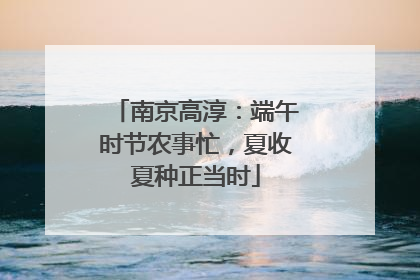 南京高淳：端午时节农事忙，夏收夏种正当时