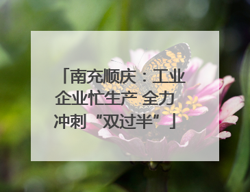 南充顺庆：工业企业忙生产 全力冲刺“双过半”