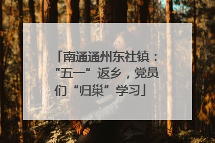 南通通州东社镇：“五一”返乡，党员们“归巢”学习