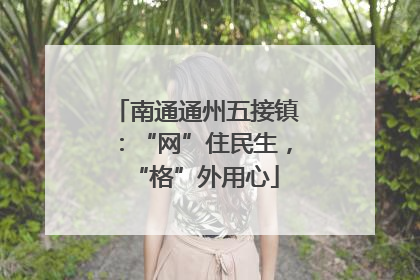 南通通州五接镇：“网”住民生，“格”外用心