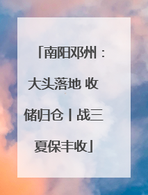 南阳邓州：大头落地 收储归仓丨战三夏保丰收