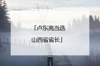 卢东亮当选山西省省长
