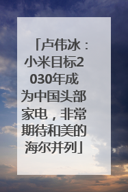 卢伟冰：小米目标2030年成为中国头部家电，非常期待和美的海尔并列