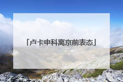 卢卡申科离京前表态