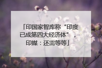 印国家智库称“印度已成第四大经济体”，印媒：还需等等