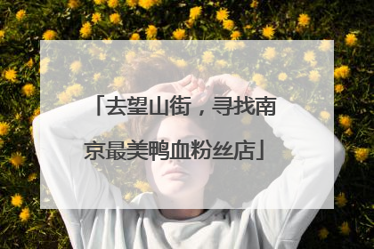去望山街，寻找南京最美鸭血粉丝店