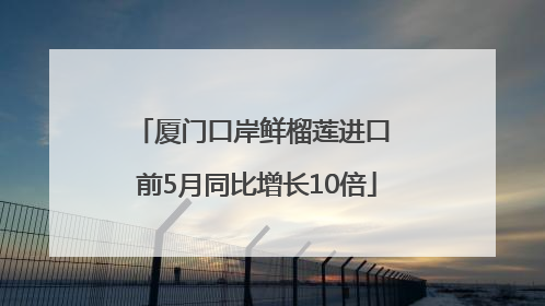 厦门口岸鲜榴莲进口 前5月同比增长10倍