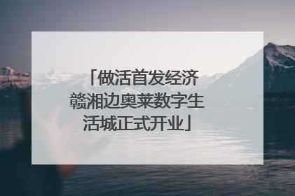 做活首发经济 赣湘边奥莱数字生活城正式开业