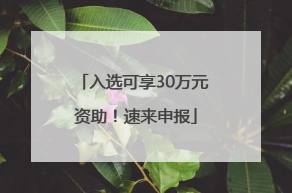入选可享30万元资助！速来申报