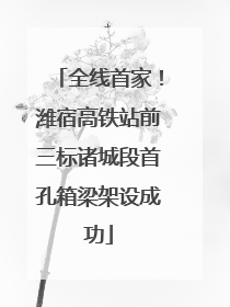 全线首家！潍宿高铁站前三标诸城段首孔箱梁架设成功