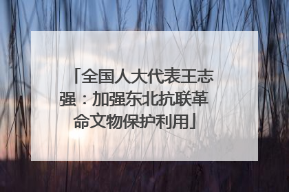 全国人大代表王志强：加强东北抗联革命文物保护利用