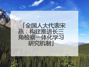 全国人大代表宋燕：构建推进长三角检察一体化学习研究机制