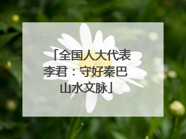 全国人大代表李君：守好秦巴山水文脉