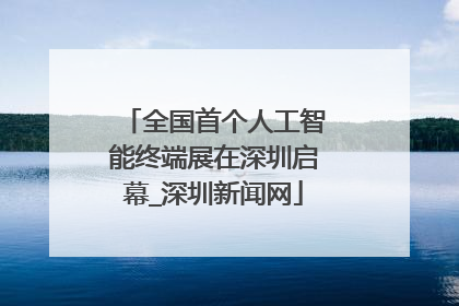 全国首个人工智能终端展在深圳启幕_深圳新闻网