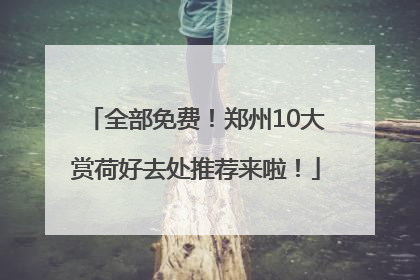 全部免费！郑州10大赏荷好去处推荐来啦！