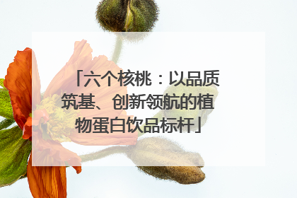 六个核桃：以品质筑基、创新领航的植物蛋白饮品标杆