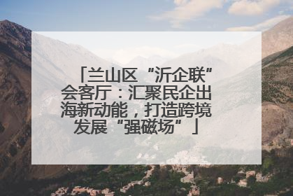 兰山区“沂企联”会客厅：汇聚民企出海新动能，打造跨境发展“强磁场”
