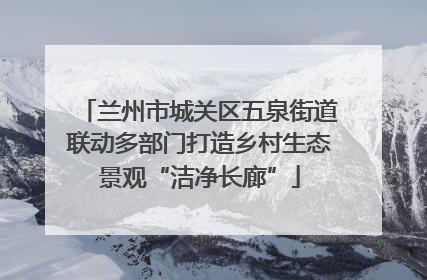 兰州市城关区五泉街道联动多部门打造乡村生态景观“洁净长廊”