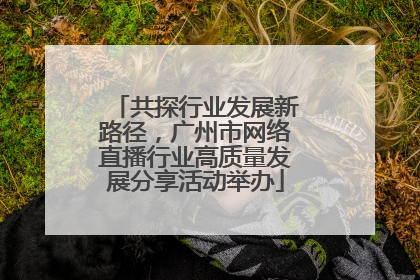 共探行业发展新路径，广州市网络直播行业高质量发展分享活动举办