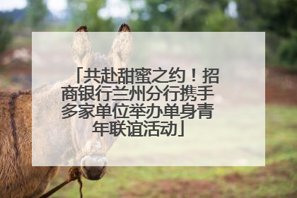 共赴甜蜜之约！招商银行兰州分行携手多家单位举办单身青年联谊活动