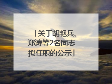 关于胡艳兵、郑涛等2名同志拟任职的公示