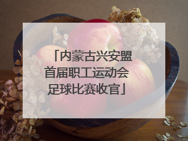 内蒙古兴安盟首届职工运动会足球比赛收官