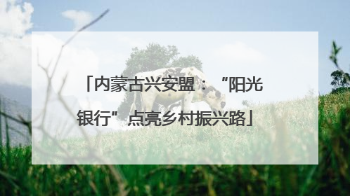 内蒙古兴安盟：“阳光银行”点亮乡村振兴路