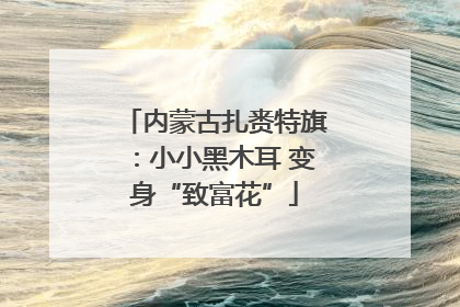 内蒙古扎赉特旗：小小黑木耳 变身“致富花”