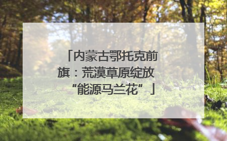内蒙古鄂托克前旗：荒漠草原绽放“能源马兰花”