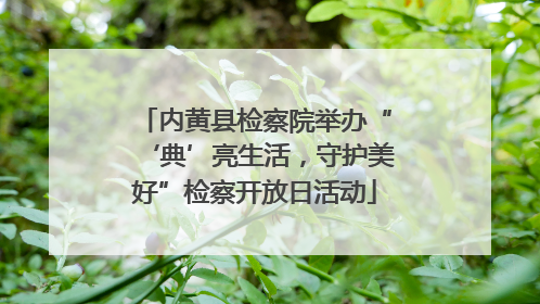 内黄县检察院举办“‘典’亮生活，守护美好”检察开放日活动
