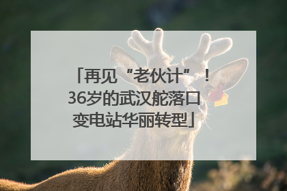 再见“老伙计”！36岁的武汉舵落口变电站华丽转型