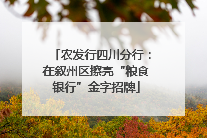 农发行四川分行：在叙州区擦亮“粮食银行”金字招牌