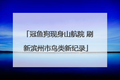 冠鱼狗现身山航院 刷新滨州市鸟类新纪录