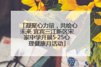 凝聚心力量，共绘心未来 宜宾三江新区宋家中学开展5·25心理健康月活动