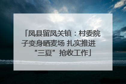 凤县留凤关镇：村委院子变身晒麦场 扎实推进“三夏”抢收工作