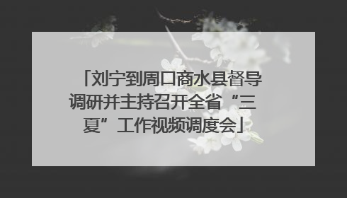 刘宁到周口商水县督导调研并主持召开全省“三夏”工作视频调度会