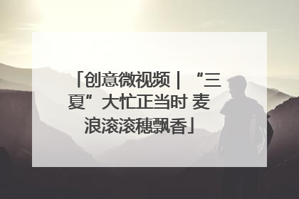 创意微视频｜“三夏”大忙正当时 麦浪滚滚穗飘香